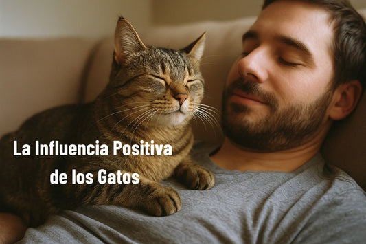 beneficios gatos