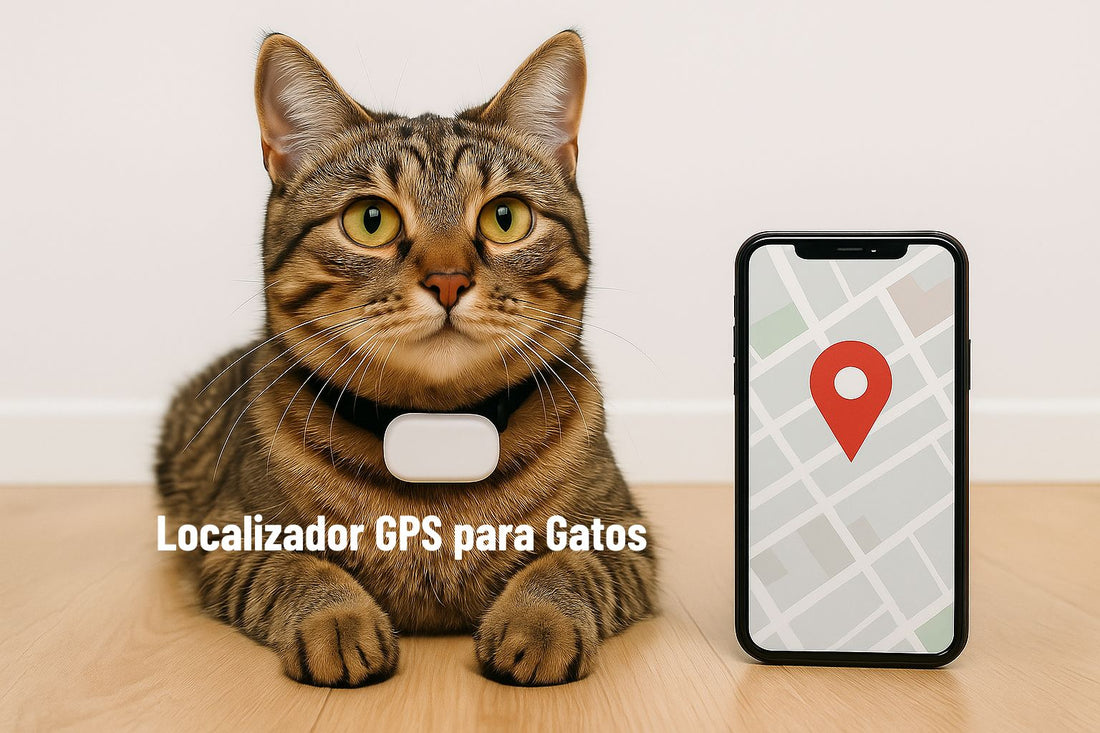 GPS gatos