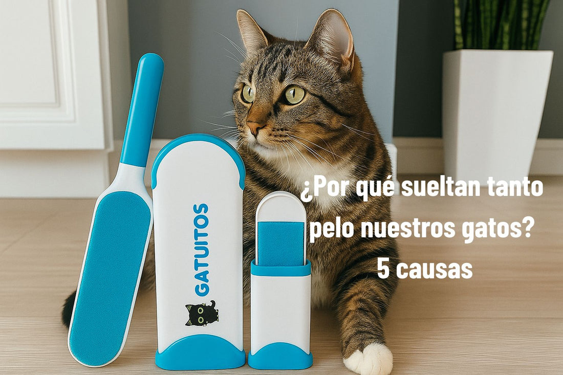 Quitar pelos gato