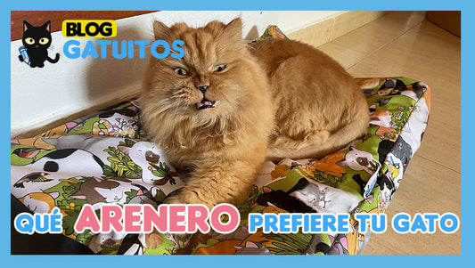 ¿Cuál es mejor la bandeja de arena o el cajón cubierto?
