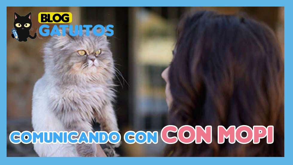 🗣️🐈 Comunicando con mi gata Mopi