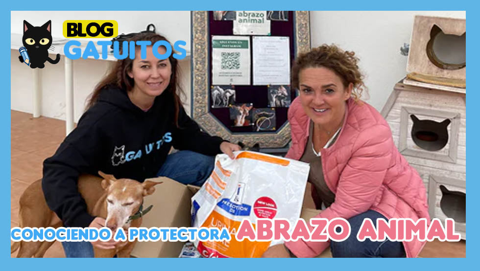 😻 Conociendo y donando material a la protectora "Abrazo Animal"