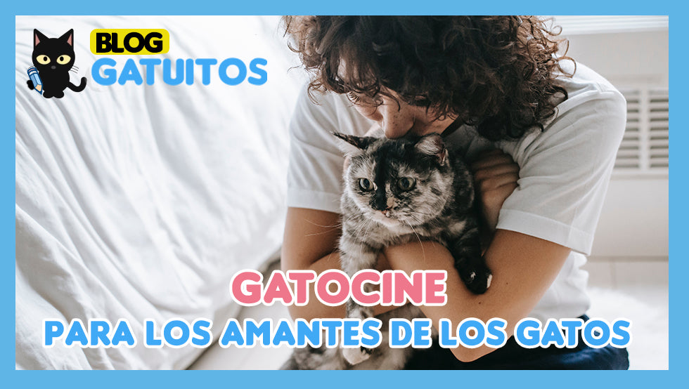 Películas que todo amante de los gatos debe ver