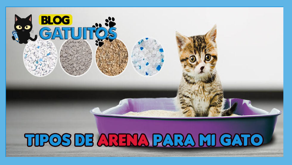 Tipos de arena para gatos
