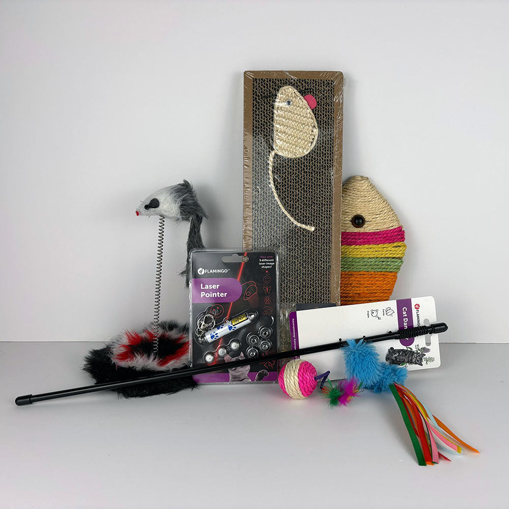 Pack Juguetes para Gato