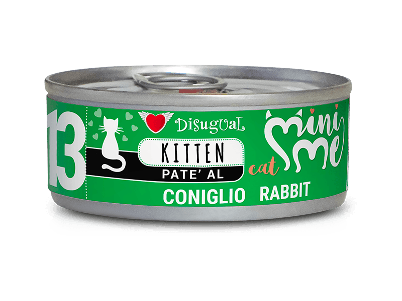 que darle de comer a un gato bebe