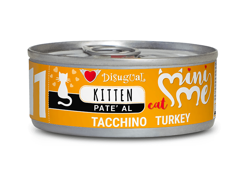 como alimentar a un gato bebe