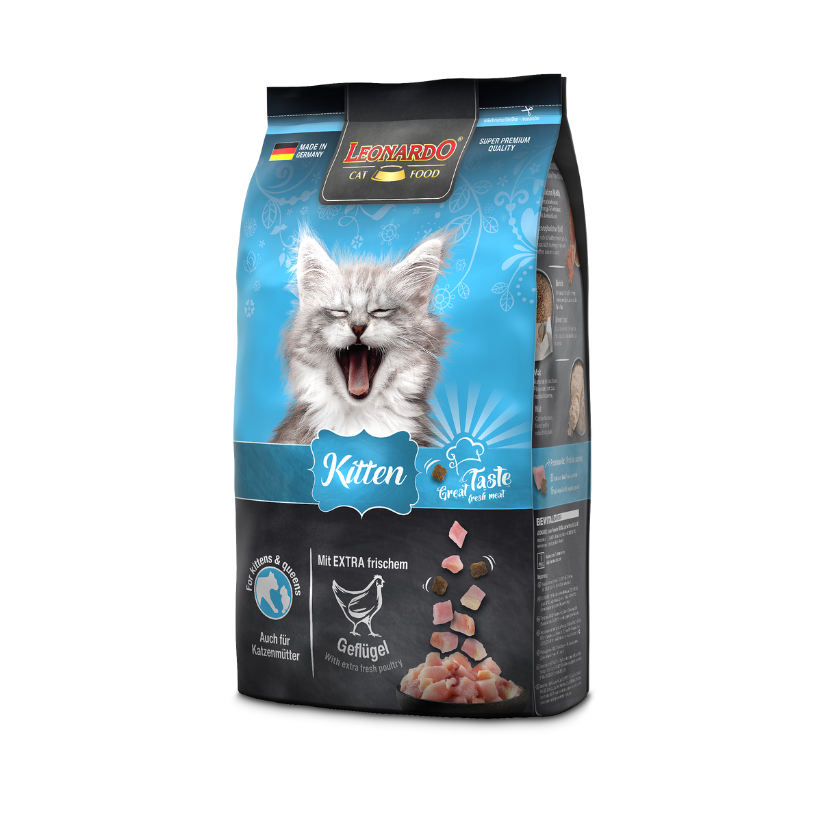 pienso gatos pequeños