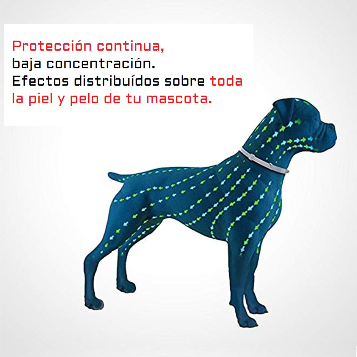 🕷️Collar Antiparásitos Gato Perro