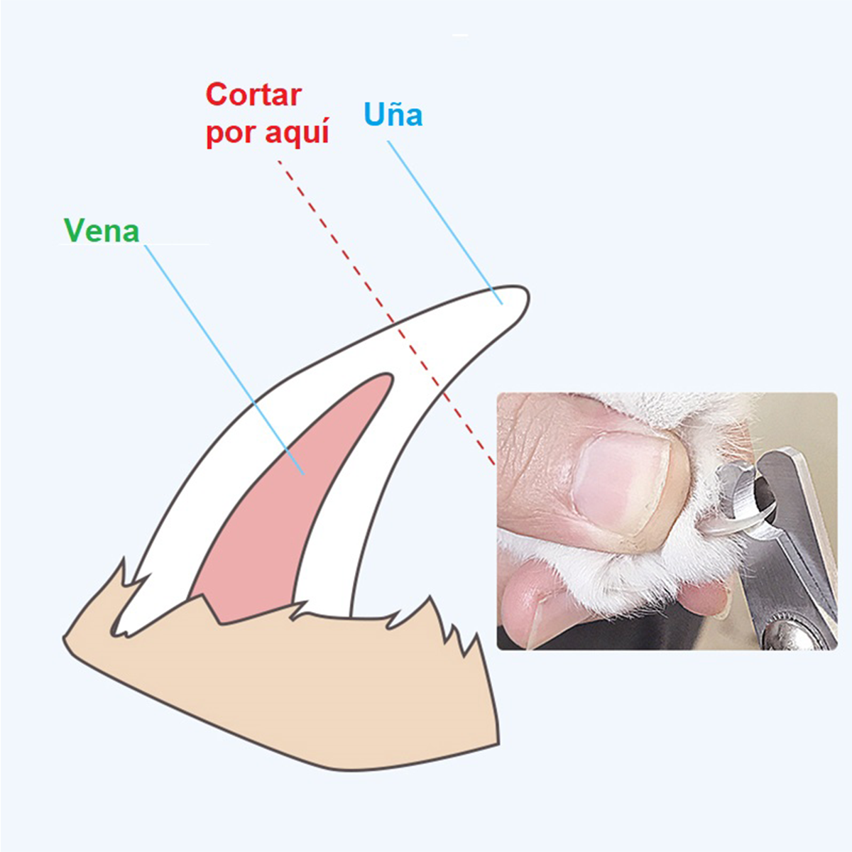 Tijeras Uñas Gato